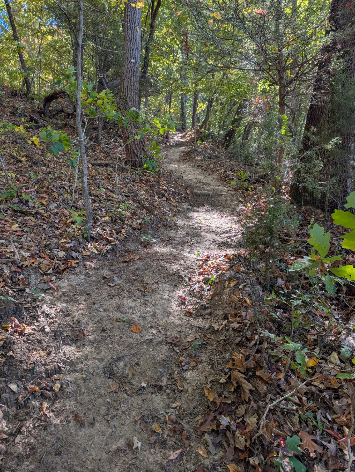 Woodland Trails